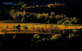 森林风景素材图片下载